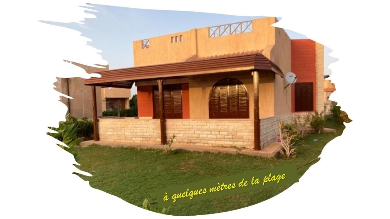 Location Maison En Bord De Mer, Nord Egypte *
